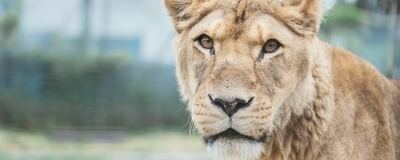 [立ち上げメンバー募集]のほほーんカメラクラブの活動紹介