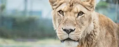 [立ち上げメンバー募集]のほほーんカメラクラブの活動紹介
