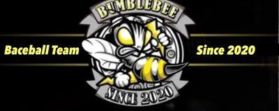 BUMBLEBEEの活動紹介
