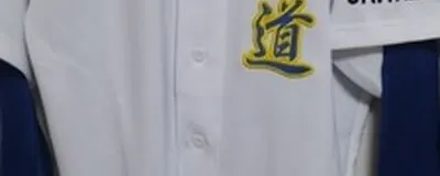 (真)青道の活動紹介