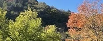 ソログループキャンプやりませんか？の活動紹介