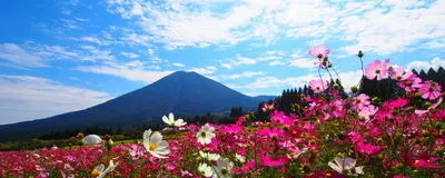 みんなで登山しよう！の活動紹介