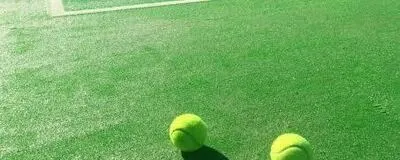 FUSEの活動紹介