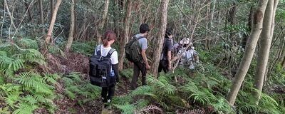 YMS Grの活動紹介