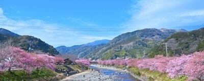 大人のための週末カメラサークル【tocotoco】の活動紹介
