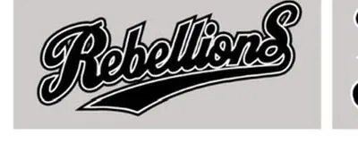 RebellionS(リベリオンズ)の活動紹介