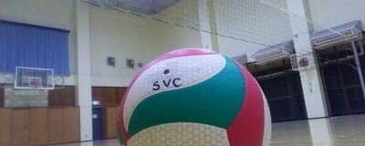SVC(エスブイシー）の活動紹介