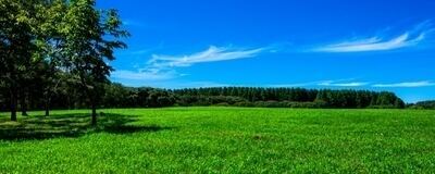 平日休み交流会！平日昼飲み部【20代/30代】の活動紹介
