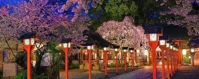 😄宮司さんと一緒に参拝するパワスポ散策の会の活動紹介