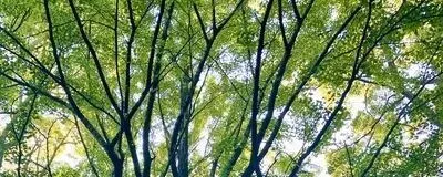 朝活/ヨガ部(女性限定)の活動紹介