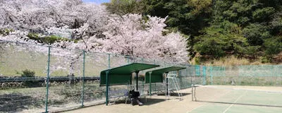 朝活テニス！の活動紹介
