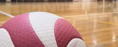 チームsteの活動紹介