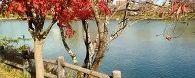 京都・奈良で本が好きな方ひっそりと関西圏で本の茶話会（≠読書会）の活動紹介