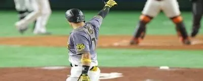 新チーム（初回は5月31日）の活動紹介