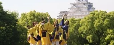 我夢者羅❀の活動紹介