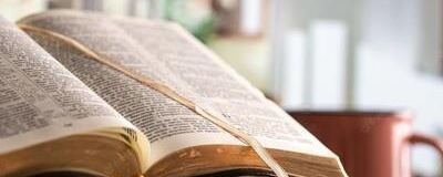 2026年📖無料の聖書講座＆メンタルケア📖の活動紹介
