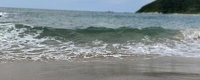 9月25日(日)デイキャンプ🏕の活動紹介