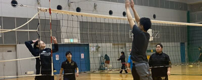 ジョイバレ横浜【横浜のバレーボールサークル】の活動紹介