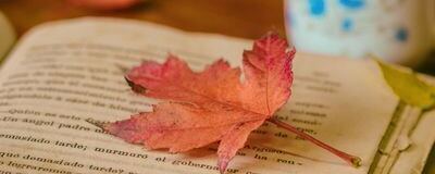 読書好きサークルの活動紹介