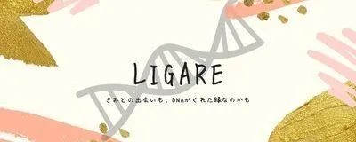LIGAREの活動紹介
