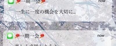 卓球チーム　一期一会の活動紹介