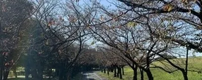 ぐりラン（初期メンバー募集）の活動紹介