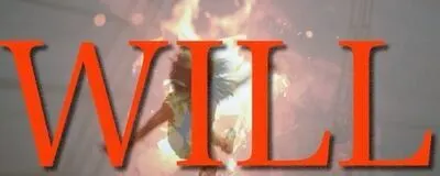 WILLの活動紹介