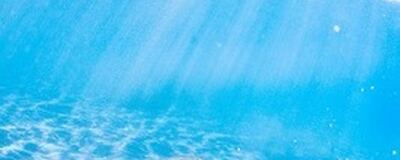 有志でゴミ拾いし隊（╹◡╹）♪の活動紹介