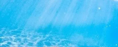 有志でゴミ拾いし隊（╹◡╹）♪の活動紹介