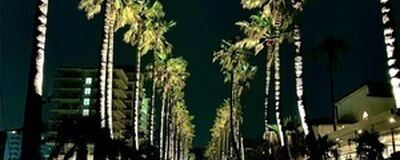 Pacificの活動紹介