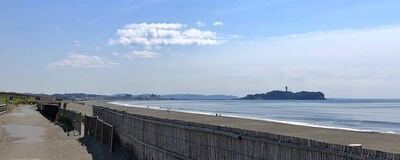 【境川ランナーズ】🏃🏃‍の活動紹介