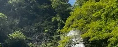 写真に興味ある方集まりませんか📷の活動紹介