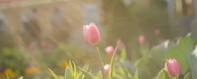 Camera Loversの活動紹介