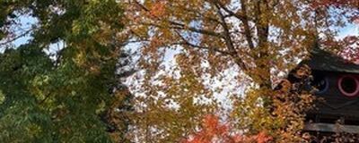 ファミリーアウトドアーズ(略してファミド)の活動紹介