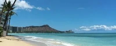 レイラニ ルアナ フラスタジオの活動紹介