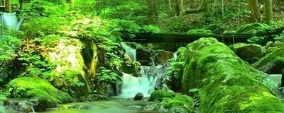 photoサークル「スカイフォト」の活動紹介