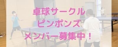 ピンポンズ🏓の活動紹介