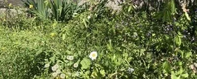 創作クラブの活動紹介