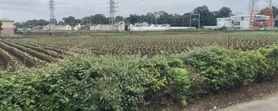 学生限定　生物好き集まろう　一緒に動物園行く友達募集してますの活動紹介