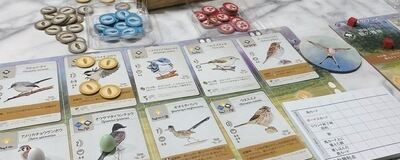 ボードゲーム・謎解き・マダミスサークル（All in）の活動紹介