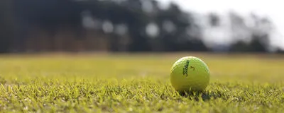 平日まほろば会⛳️の活動紹介