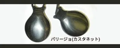 東京大学フラメンコ舞踏団の活動紹介