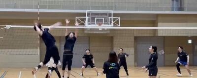 freesiaの活動紹介