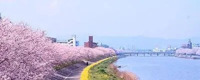 助け合おう会の活動紹介