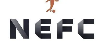 NEFC 日進エンジョイフットサルサークルの活動紹介