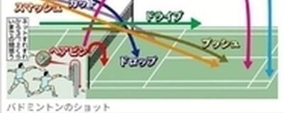 C'sBCの活動紹介