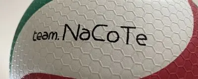 team.NaCoTeの活動紹介