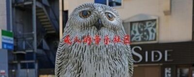 IGNS 社会人音楽コミュニティの活動紹介