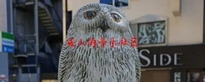 IGNS 社会人音楽コミュニティの活動紹介
