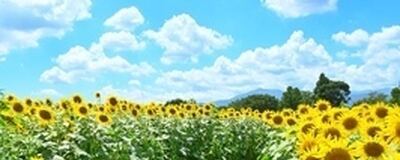【平日　週末】カメラサークル　アカドケイかめらの活動紹介